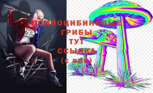 mdpv Няндома