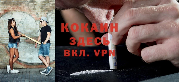 mdpv Няндома