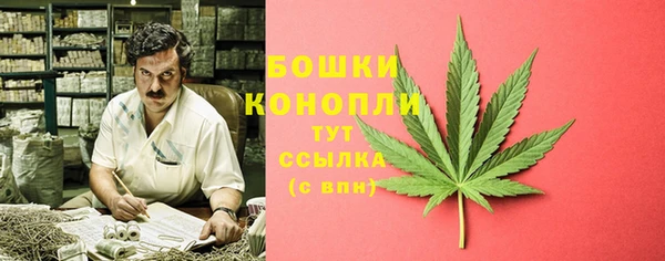 mdpv Няндома