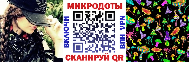 Псилоцибиновые грибы Psilocybe  даркнет состав  Чегем 